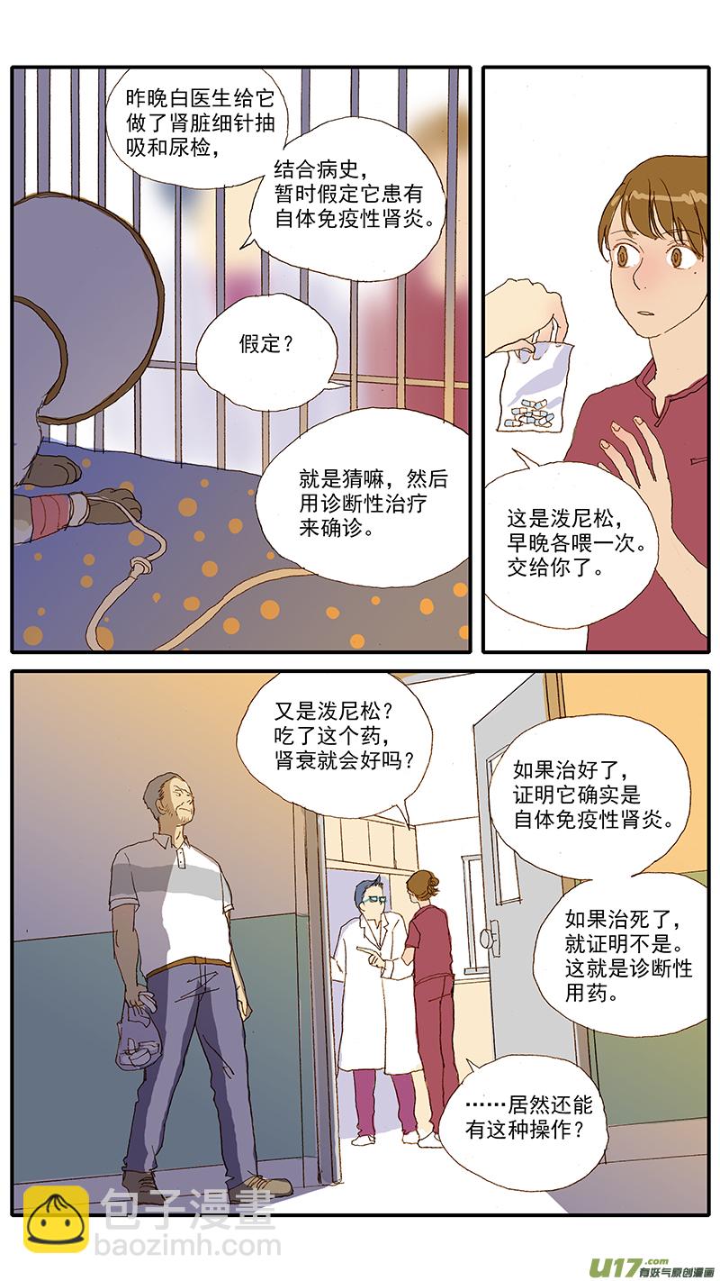 《百足宠物诊所》109 诊断性治疗 第3页