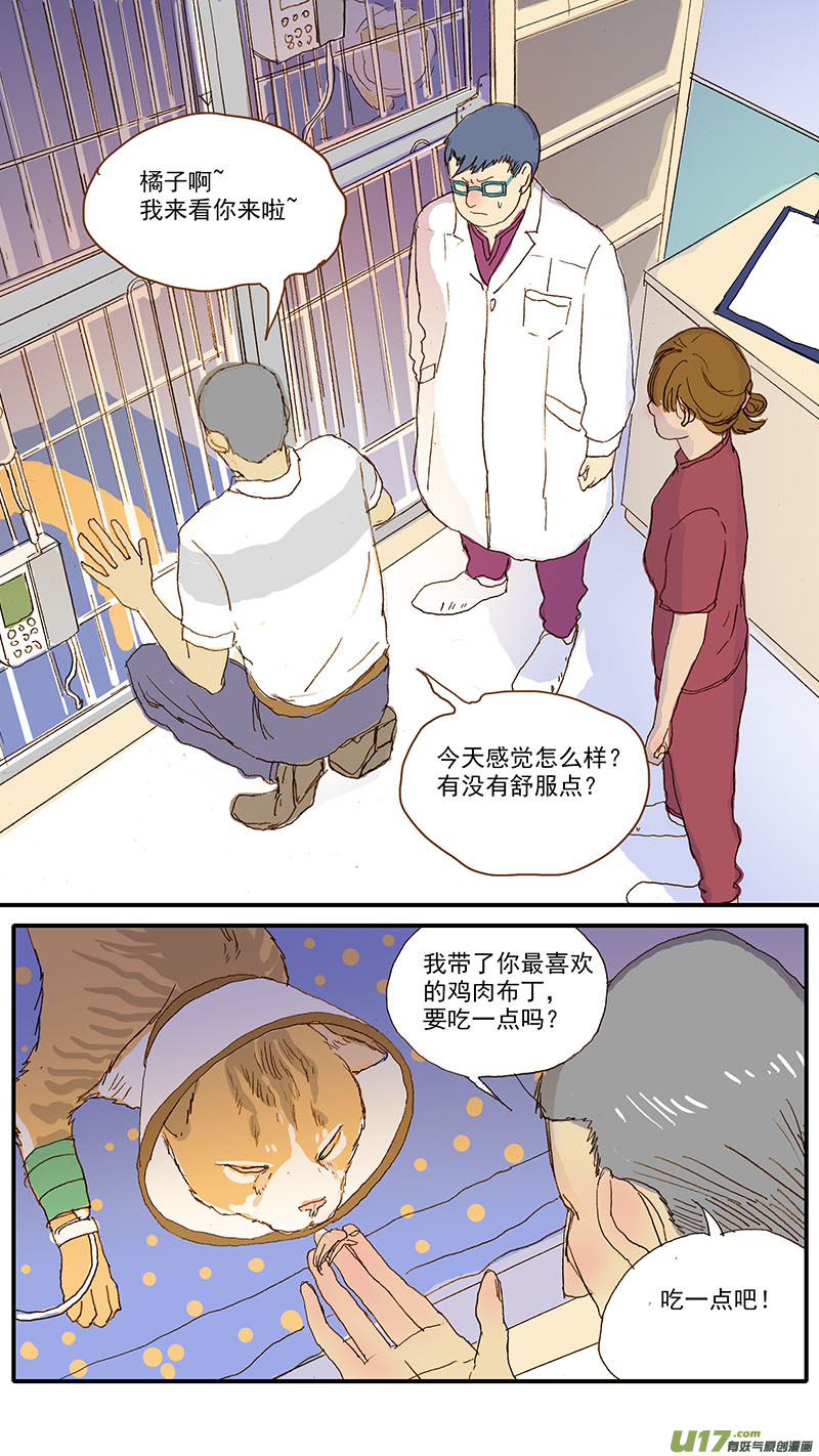 《百足宠物诊所》109 诊断性治疗 第5页