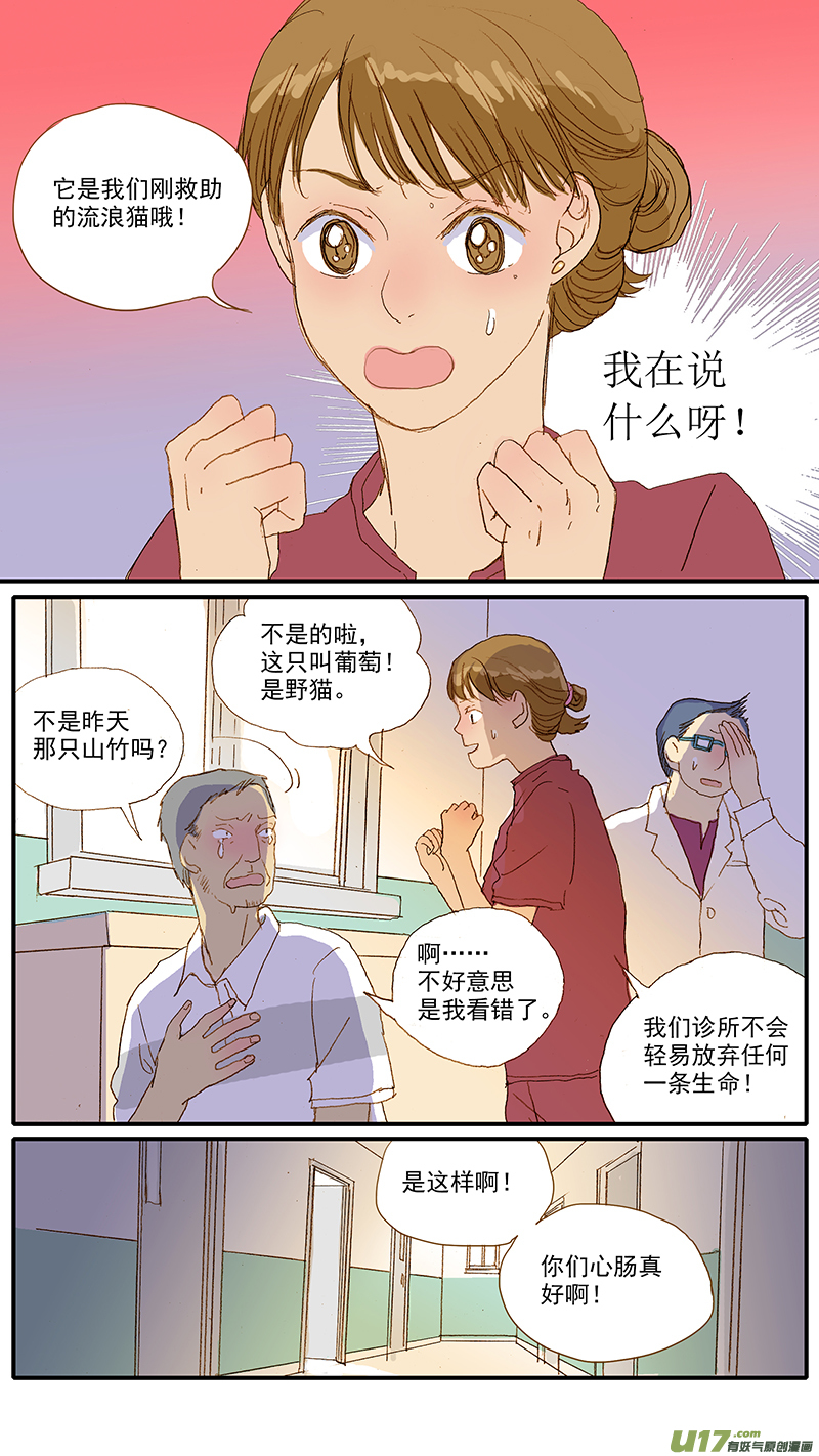 《百足宠物诊所》109 诊断性治疗 第8页