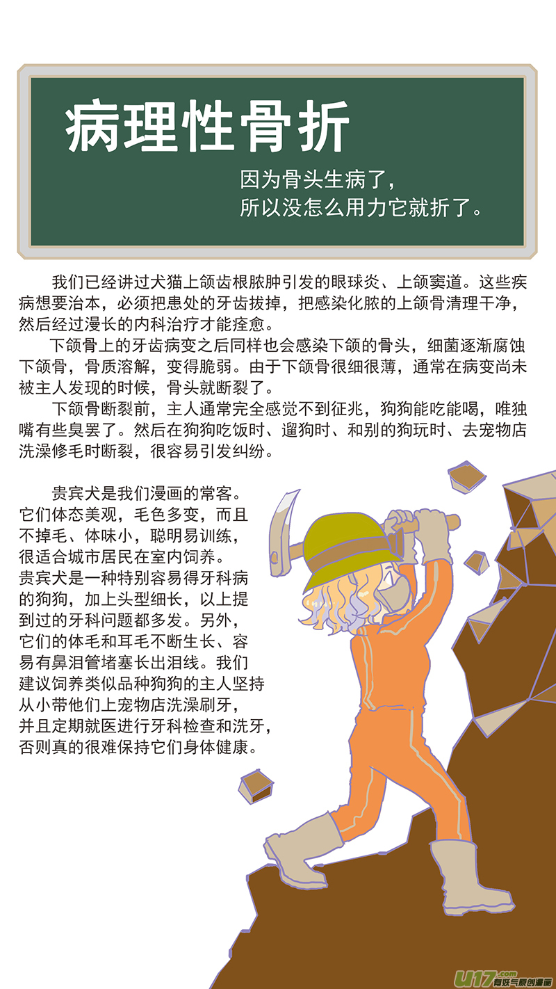 《百足宠物诊所》116 病理性骨折 第13页