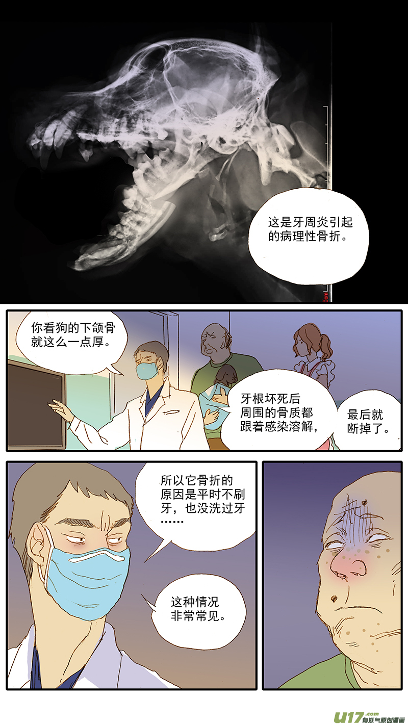 《百足宠物诊所》116 病理性骨折 第5页