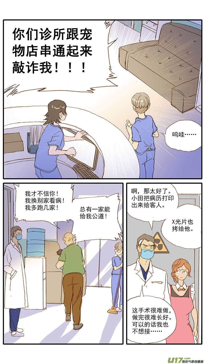 《百足宠物诊所》116 病理性骨折 第6页
