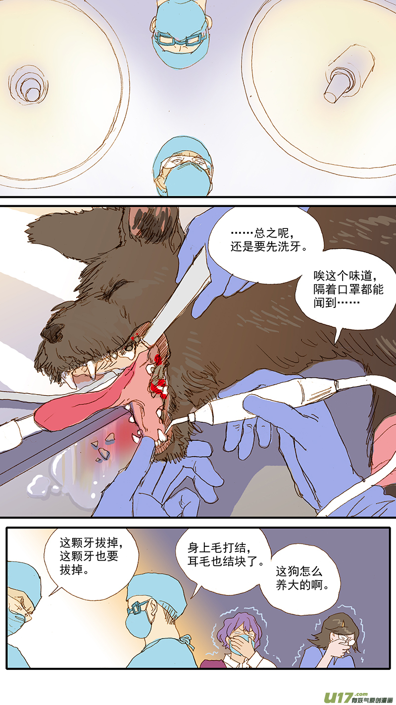 《百足宠物诊所》116 病理性骨折 第8页