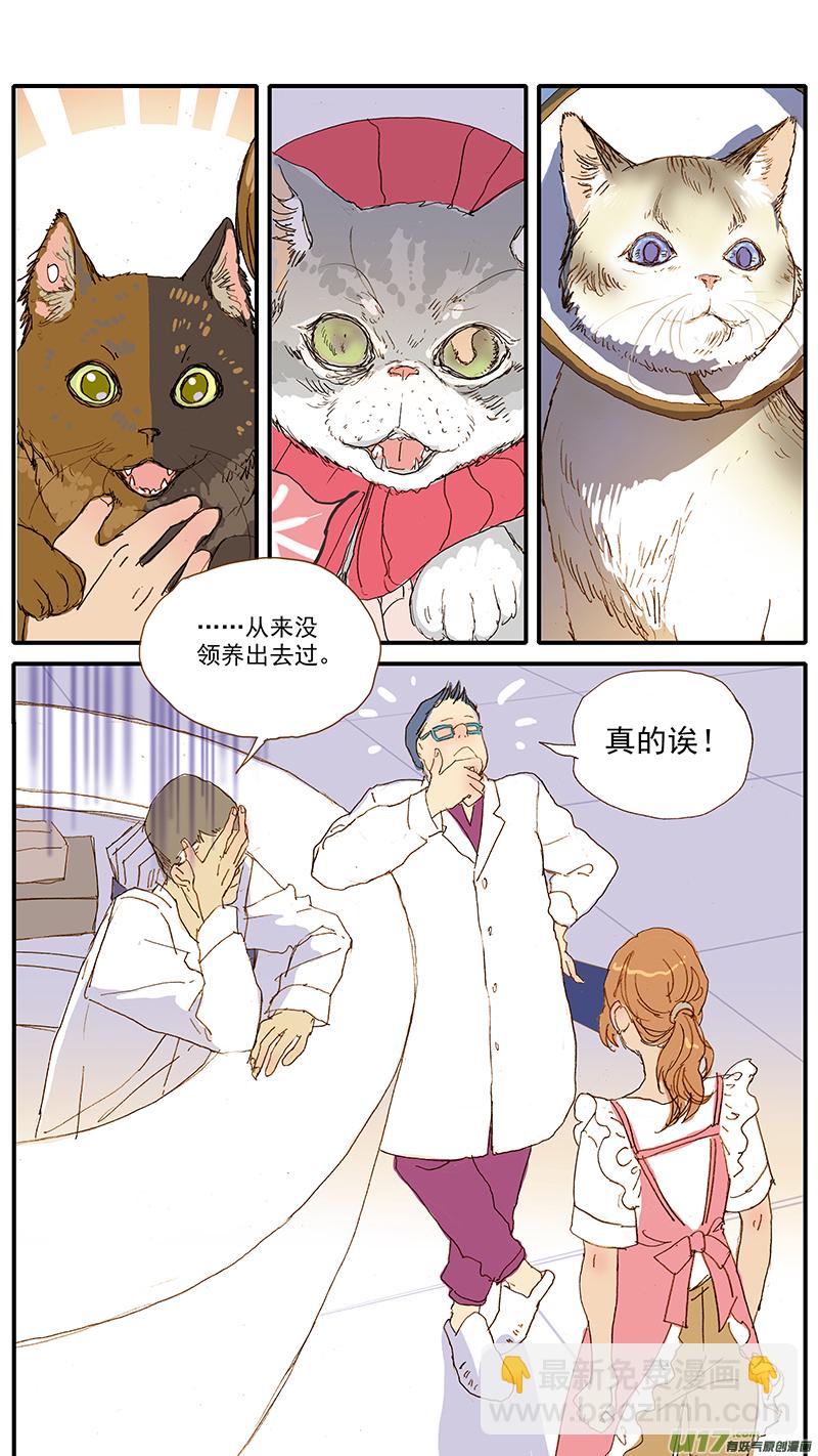 《百足宠物诊所》113 肠道嵌顿 第11页