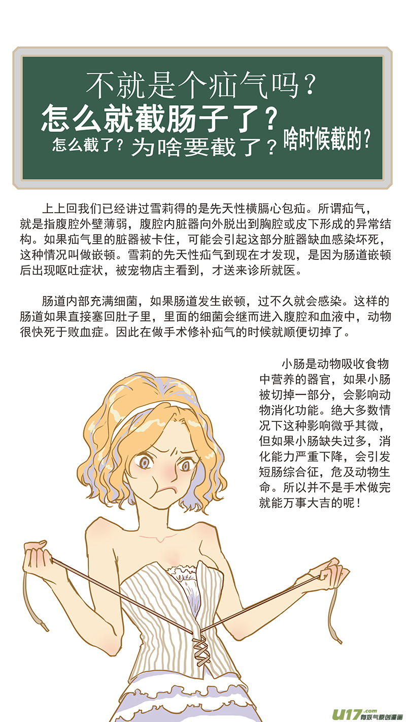 《百足宠物诊所》113 肠道嵌顿 第12页