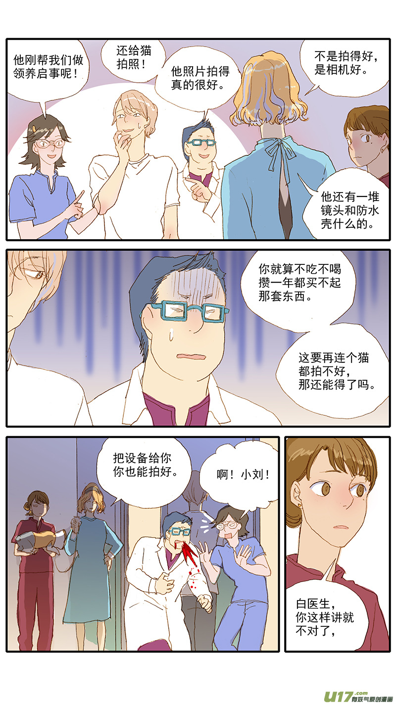 《百足宠物诊所》115 袖套状撕脱（管形皮瓣术） 第10页