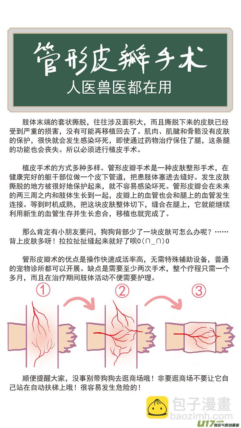 《百足宠物诊所》115 袖套状撕脱（管形皮瓣术） 第12页