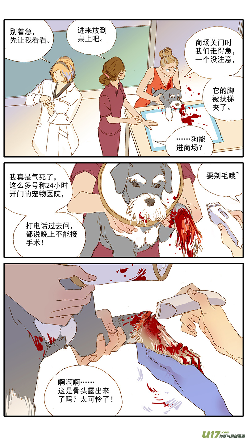 《百足宠物诊所》115 袖套状撕脱（管形皮瓣术） 第3页