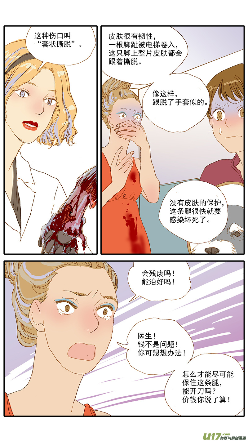 《百足宠物诊所》115 袖套状撕脱（管形皮瓣术） 第4页