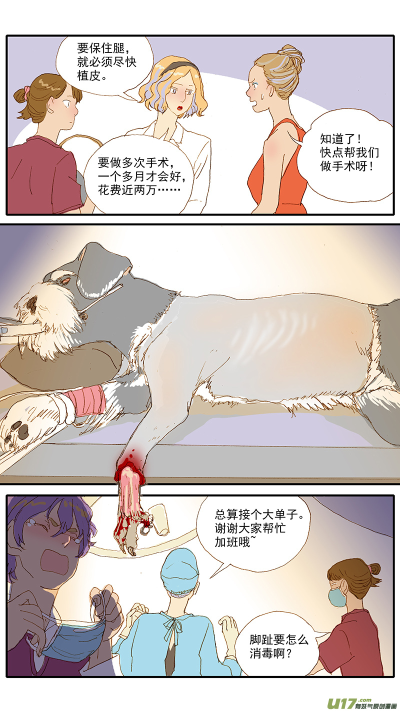 《百足宠物诊所》115 袖套状撕脱（管形皮瓣术） 第5页