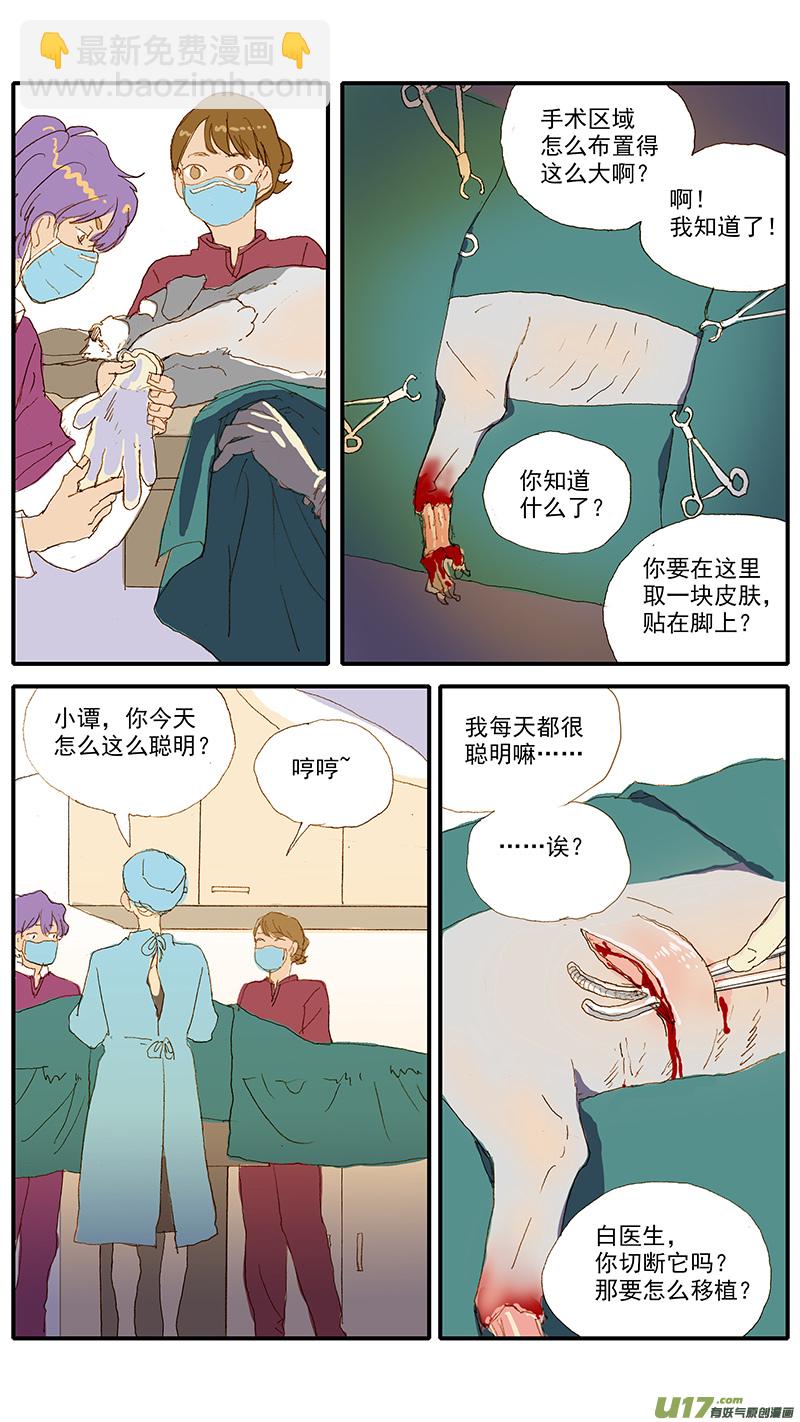 《百足宠物诊所》115 袖套状撕脱（管形皮瓣术） 第6页