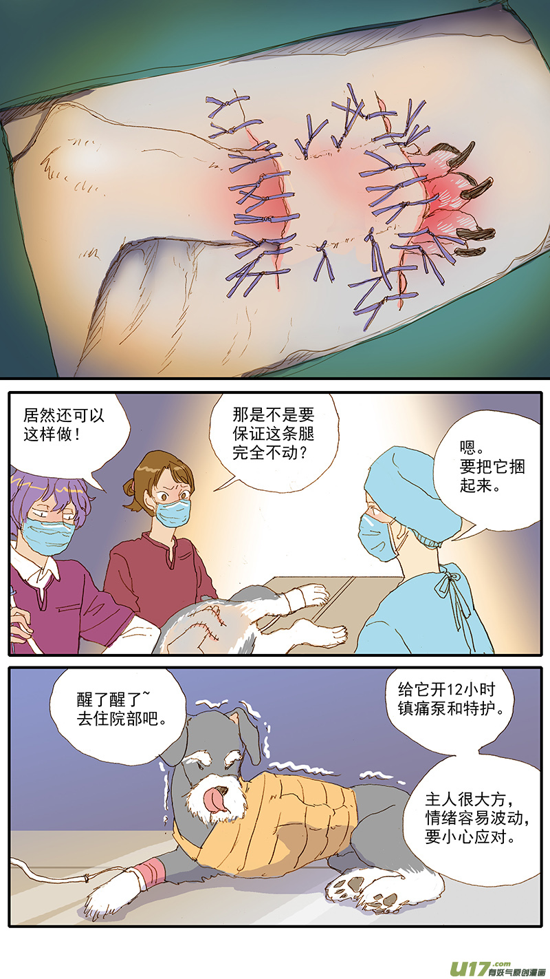 《百足宠物诊所》115 袖套状撕脱（管形皮瓣术） 第8页