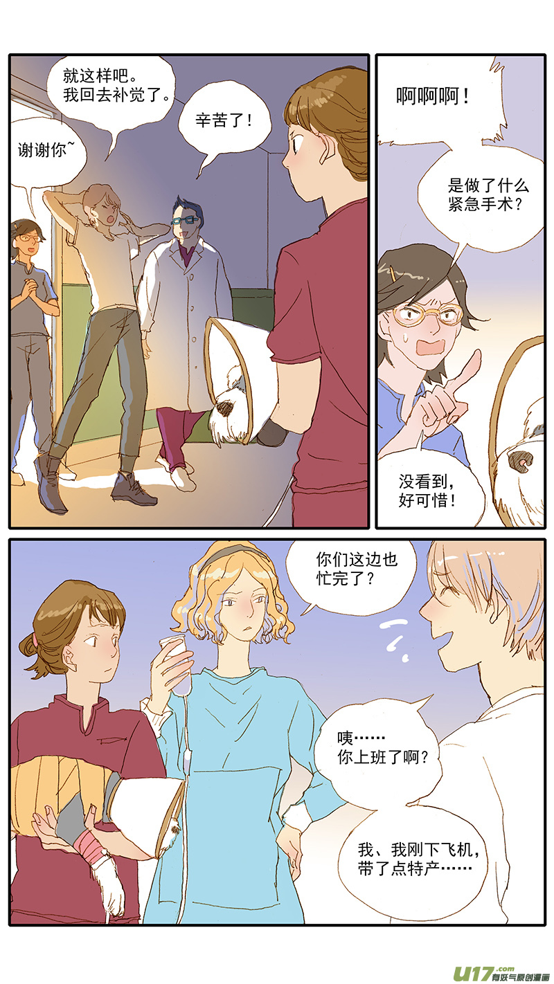 《百足宠物诊所》115 袖套状撕脱（管形皮瓣术） 第9页