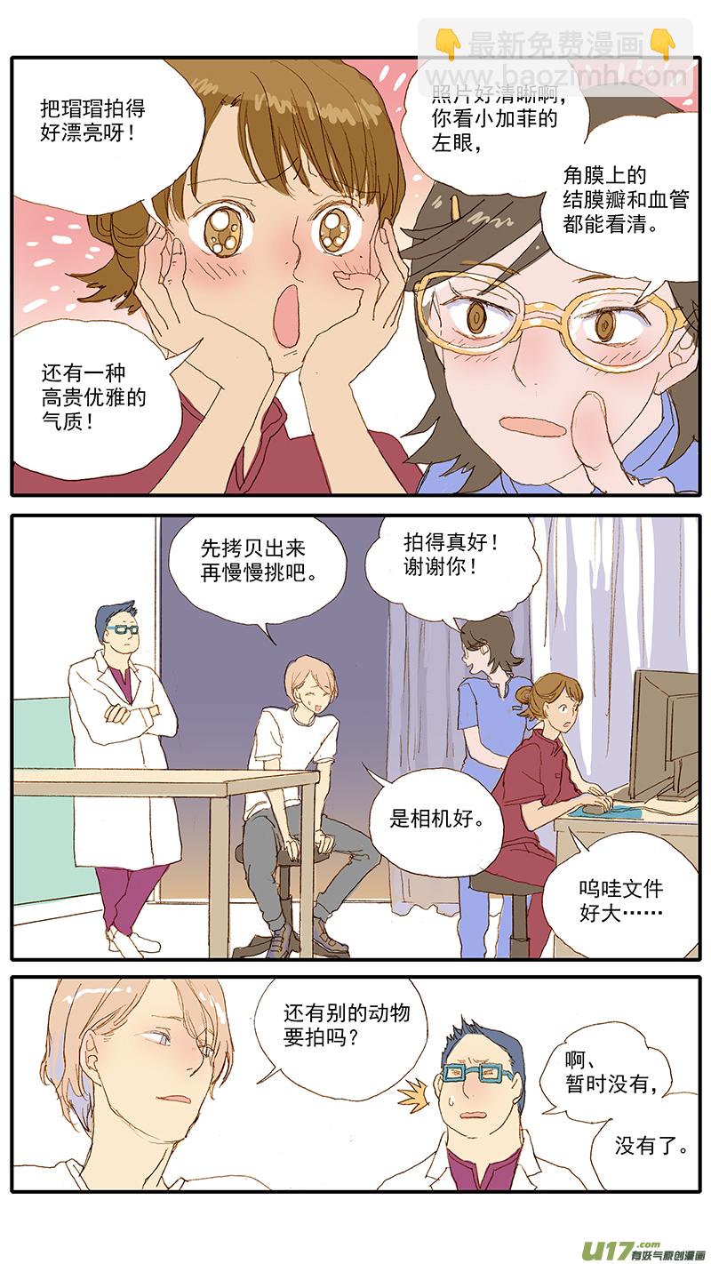 《百足宠物诊所》114 第11页