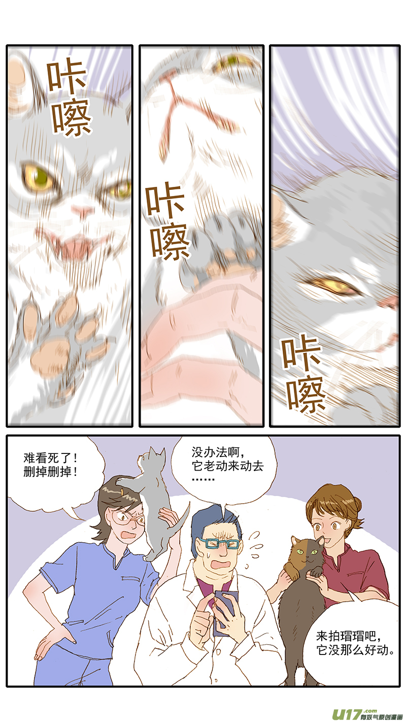 《百足宠物诊所》114 第4页