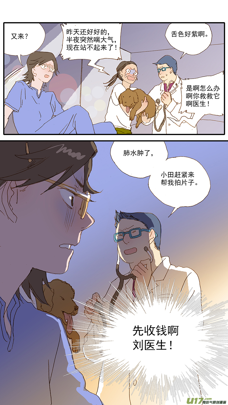 《百足宠物诊所》120 异烟肼中毒 第13页
