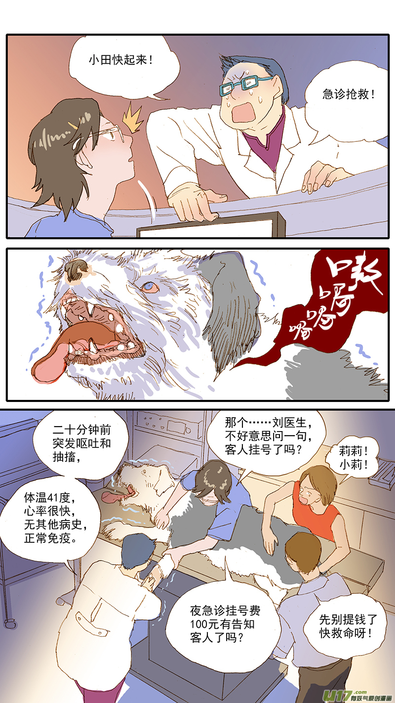 《百足宠物诊所》120 异烟肼中毒 第4页