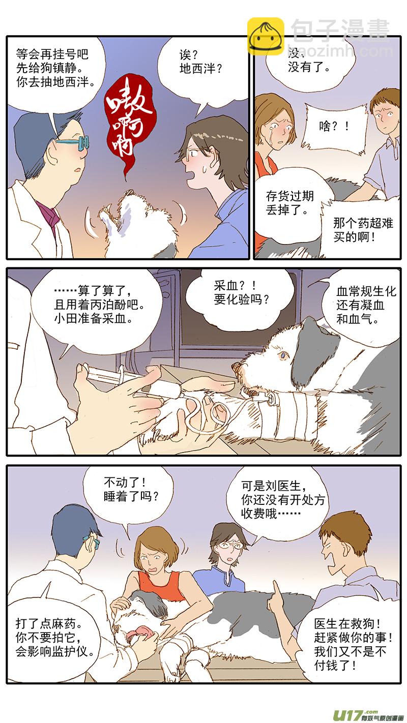 《百足宠物诊所》120 异烟肼中毒 第5页