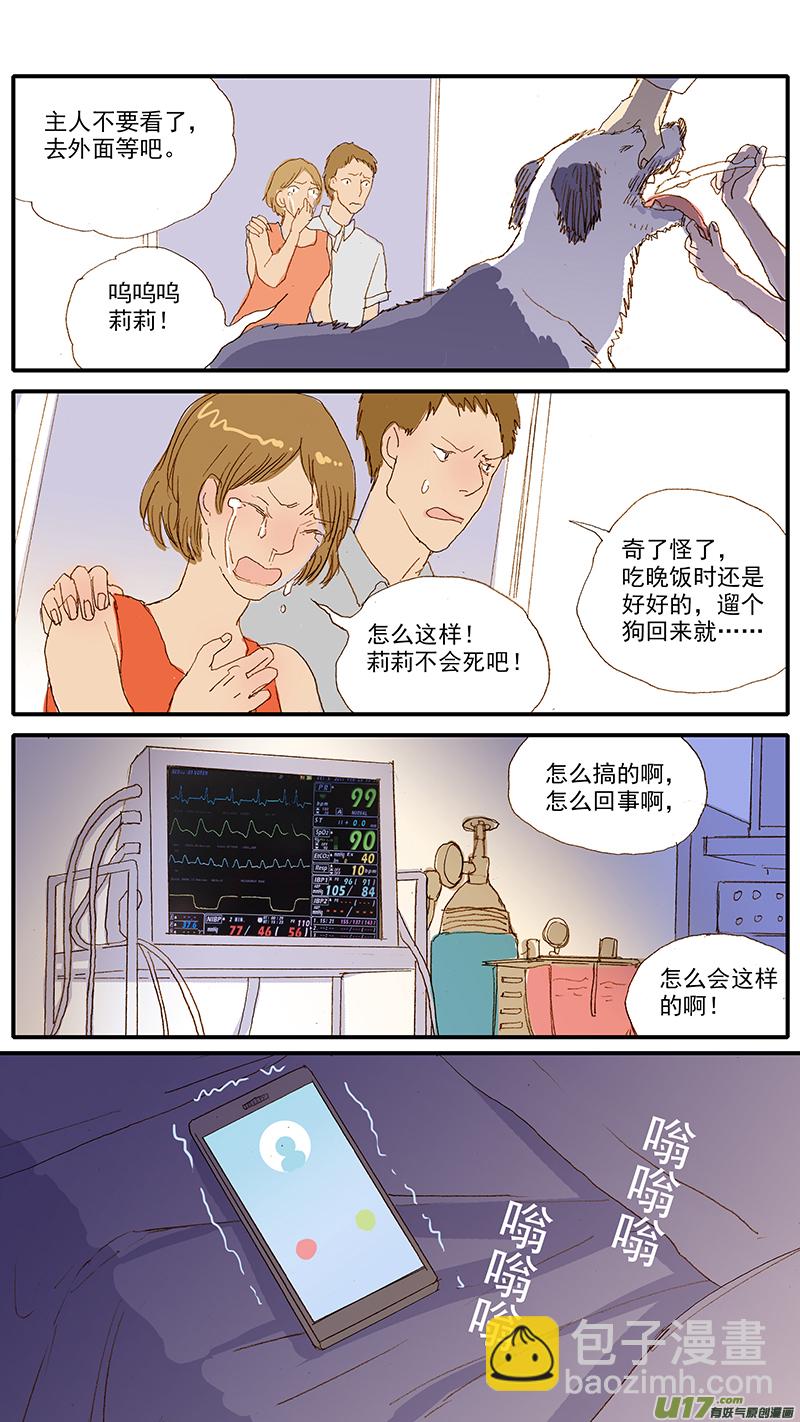 《百足宠物诊所》120 异烟肼中毒 第8页