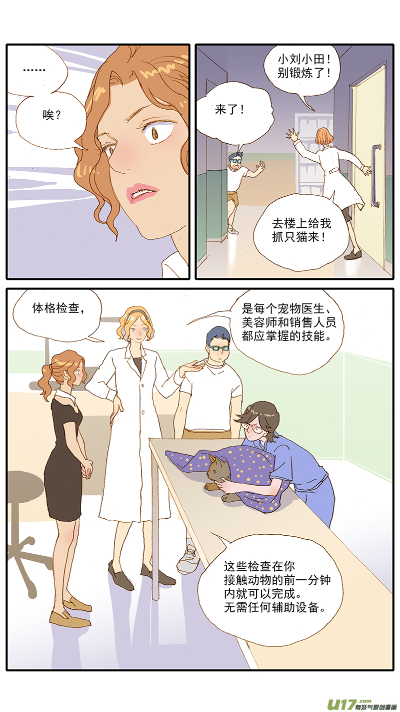 《百足宠物诊所》117 体格检查 第5页