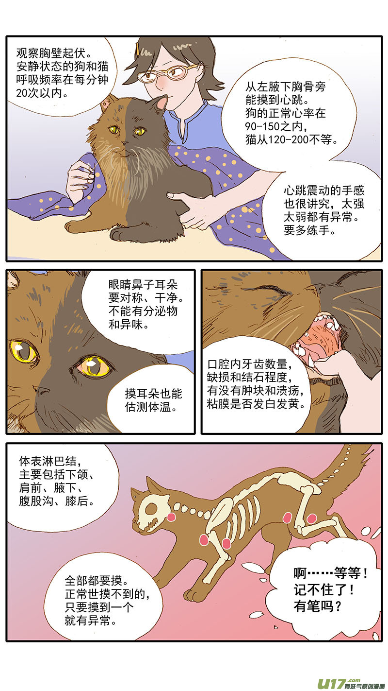 《百足宠物诊所》117 体格检查 第6页