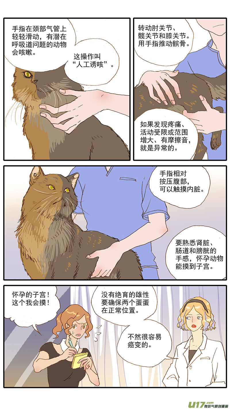 《百足宠物诊所》117 体格检查 第7页