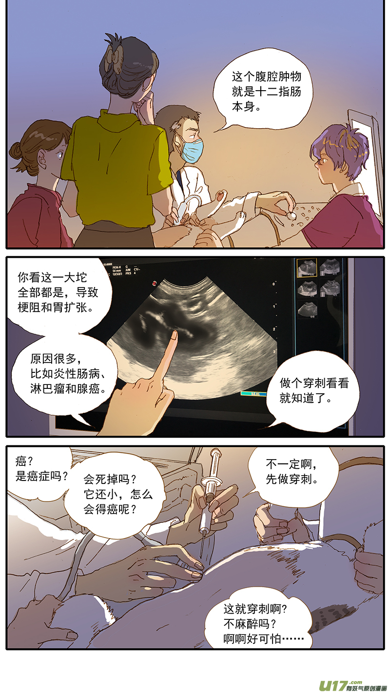 《百足宠物诊所》123 猫嗜酸性肠炎 第5页