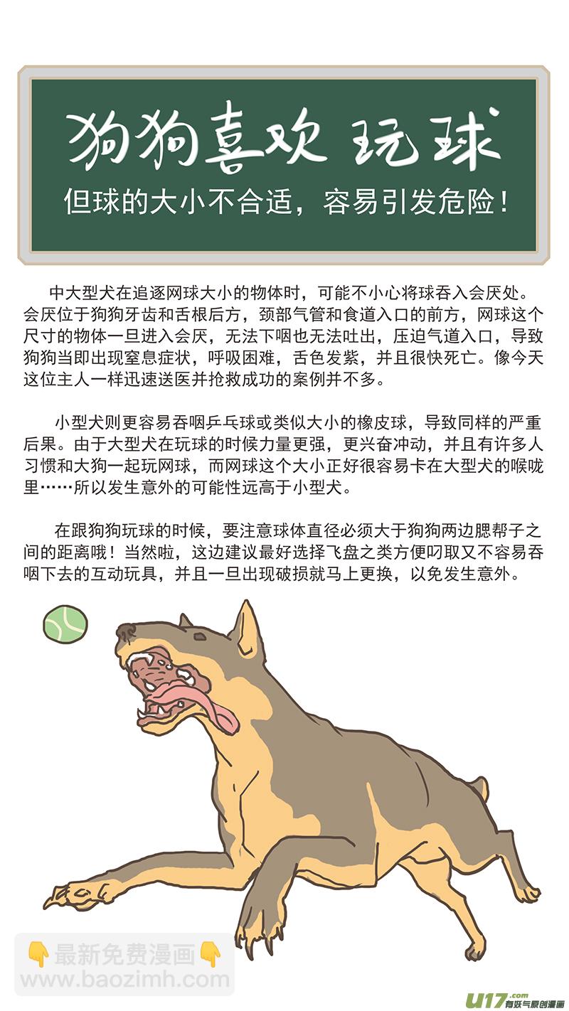 《百足宠物诊所》124 犭消化道异物（网球） 第14页