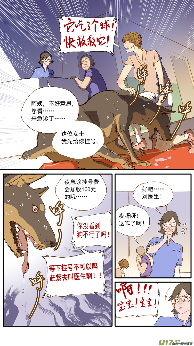 《百足宠物诊所》124 犭消化道异物（网球） 第5页