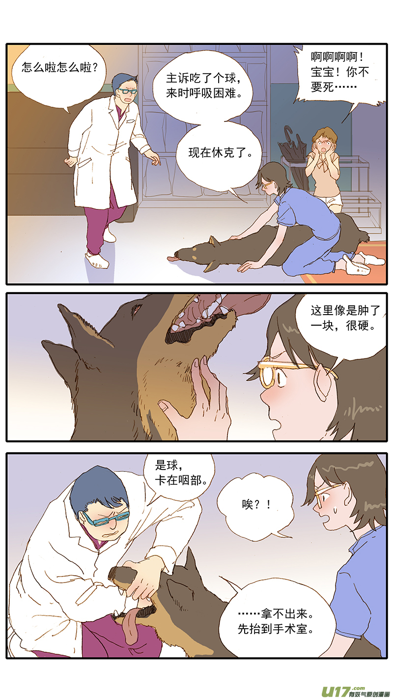 《百足宠物诊所》124 犭消化道异物（网球） 第6页