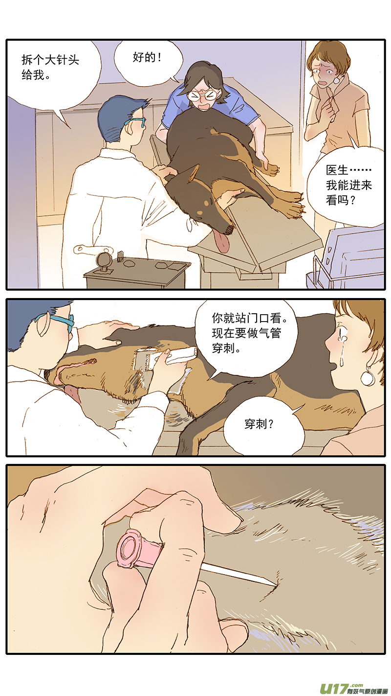 《百足宠物诊所》124 犭消化道异物（网球） 第7页
