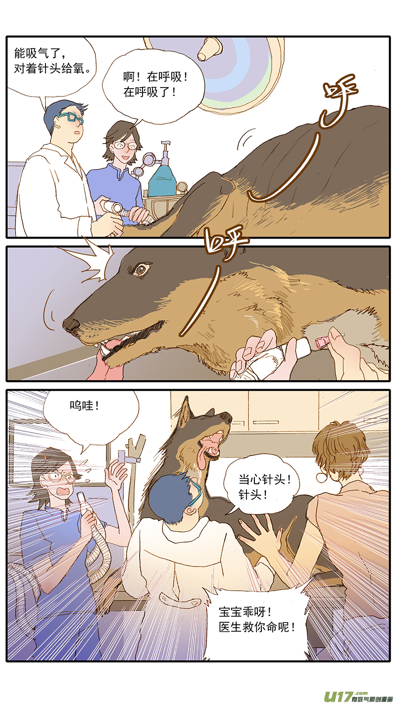 《百足宠物诊所》124 犭消化道异物（网球） 第8页