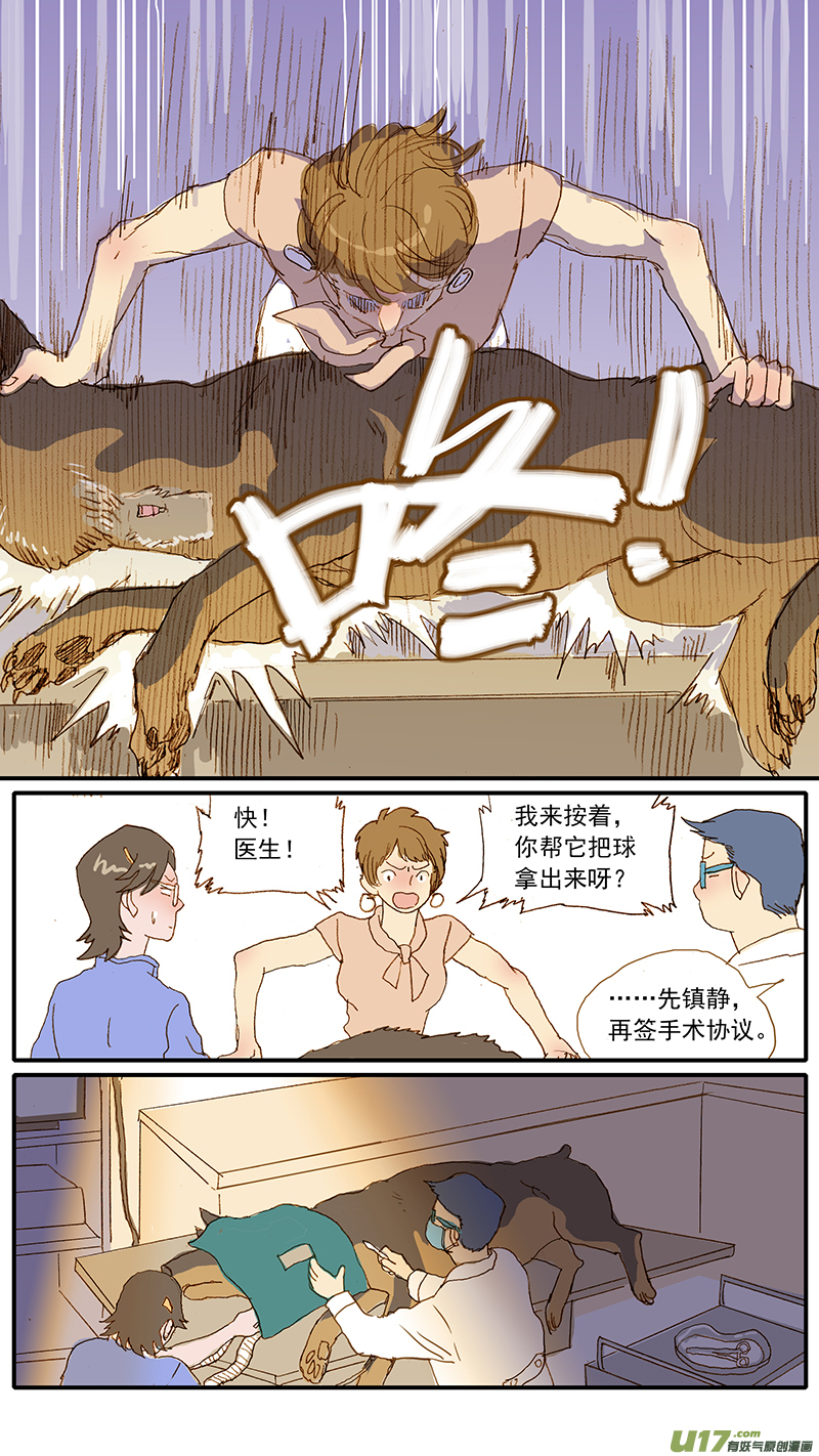 《百足宠物诊所》124 犭消化道异物（网球） 第9页