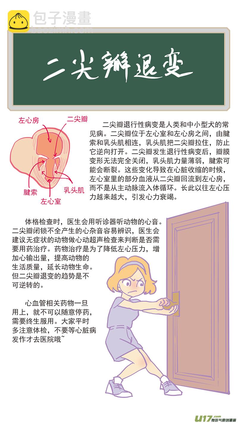 《百足宠物诊所》121 二尖瓣煺行性病变 第17页