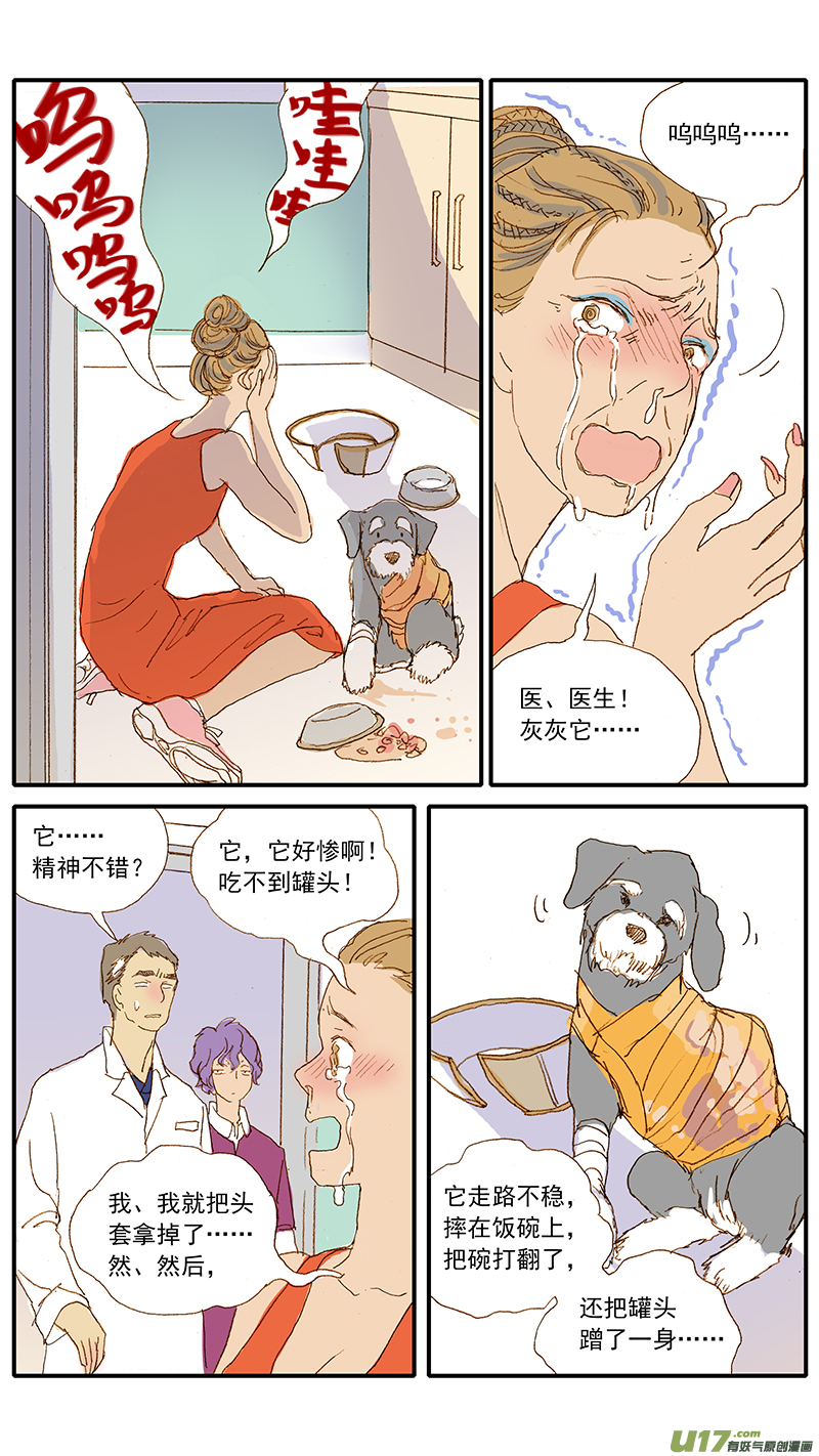 《百足宠物诊所》121 二尖瓣煺行性病变 第7页