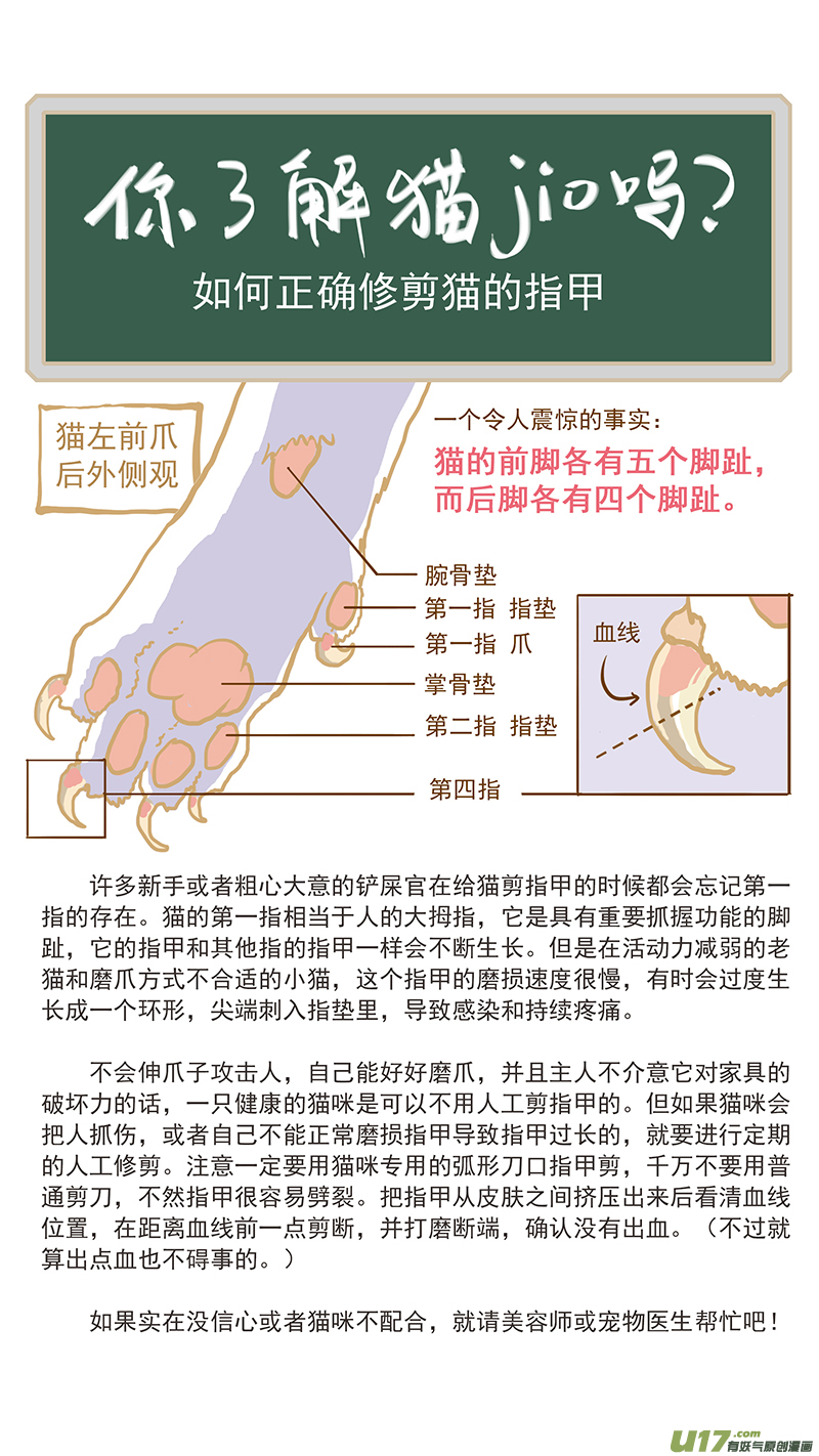 《百足宠物诊所》125 猫指甲过长 第11页