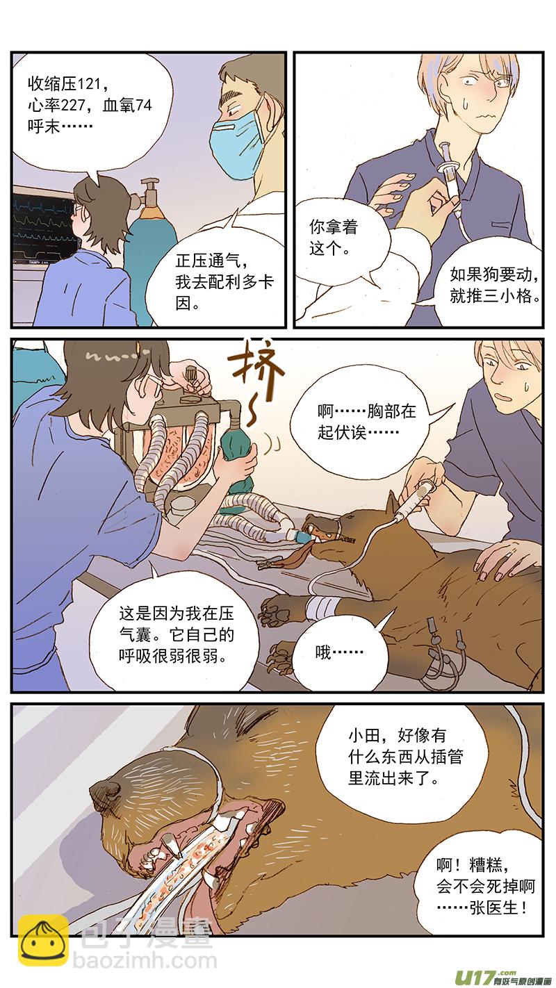 《百足宠物诊所》127 第11页