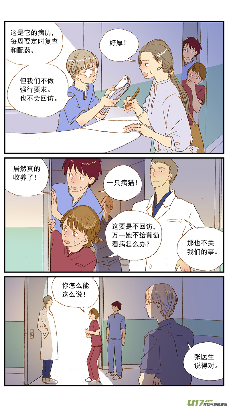 《百足宠物诊所》126 第13页