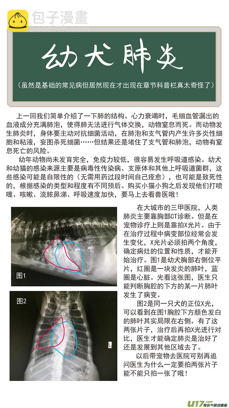 《百足宠物诊所》129 幼犭肺炎 第15页