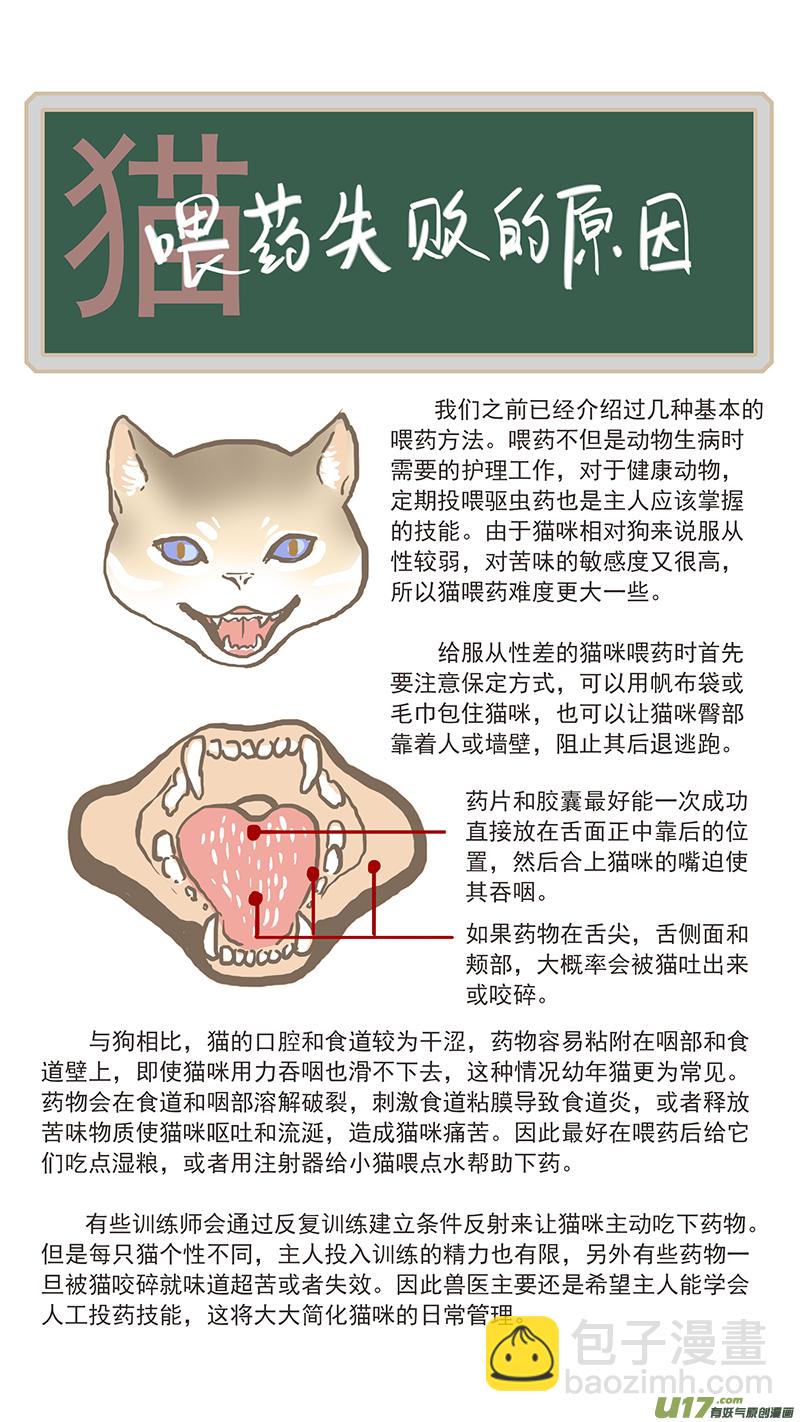 《百足宠物诊所》130 投药失败的原因 第13页