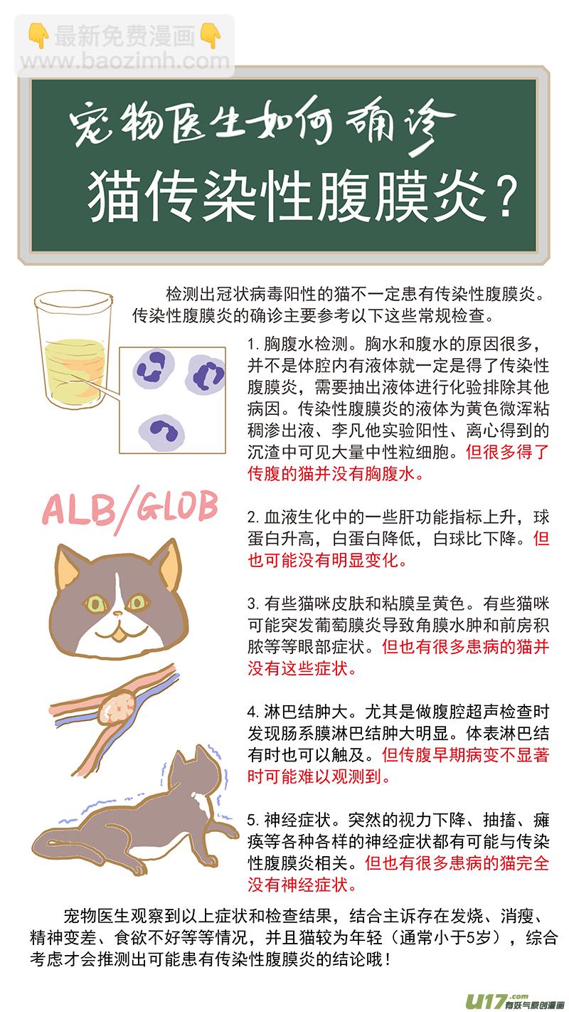 《百足宠物诊所》131 猫胆囊炎 第15页