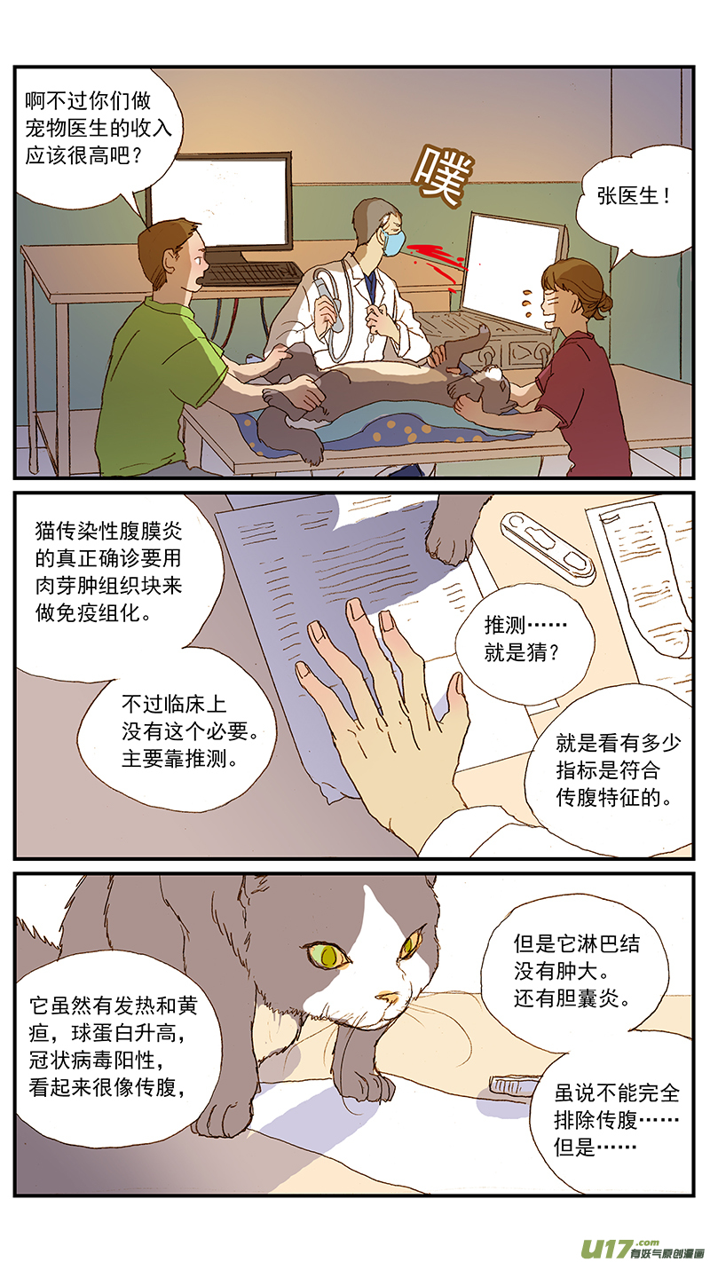 《百足宠物诊所》131 猫胆囊炎 第3页