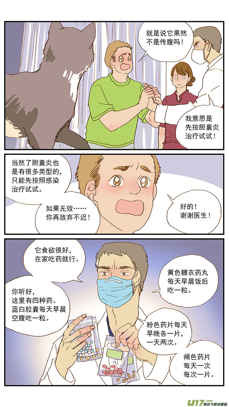 《百足宠物诊所》131 猫胆囊炎 第4页