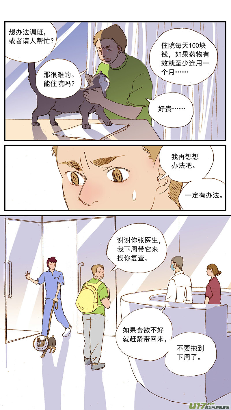 《百足宠物诊所》131 猫胆囊炎 第6页