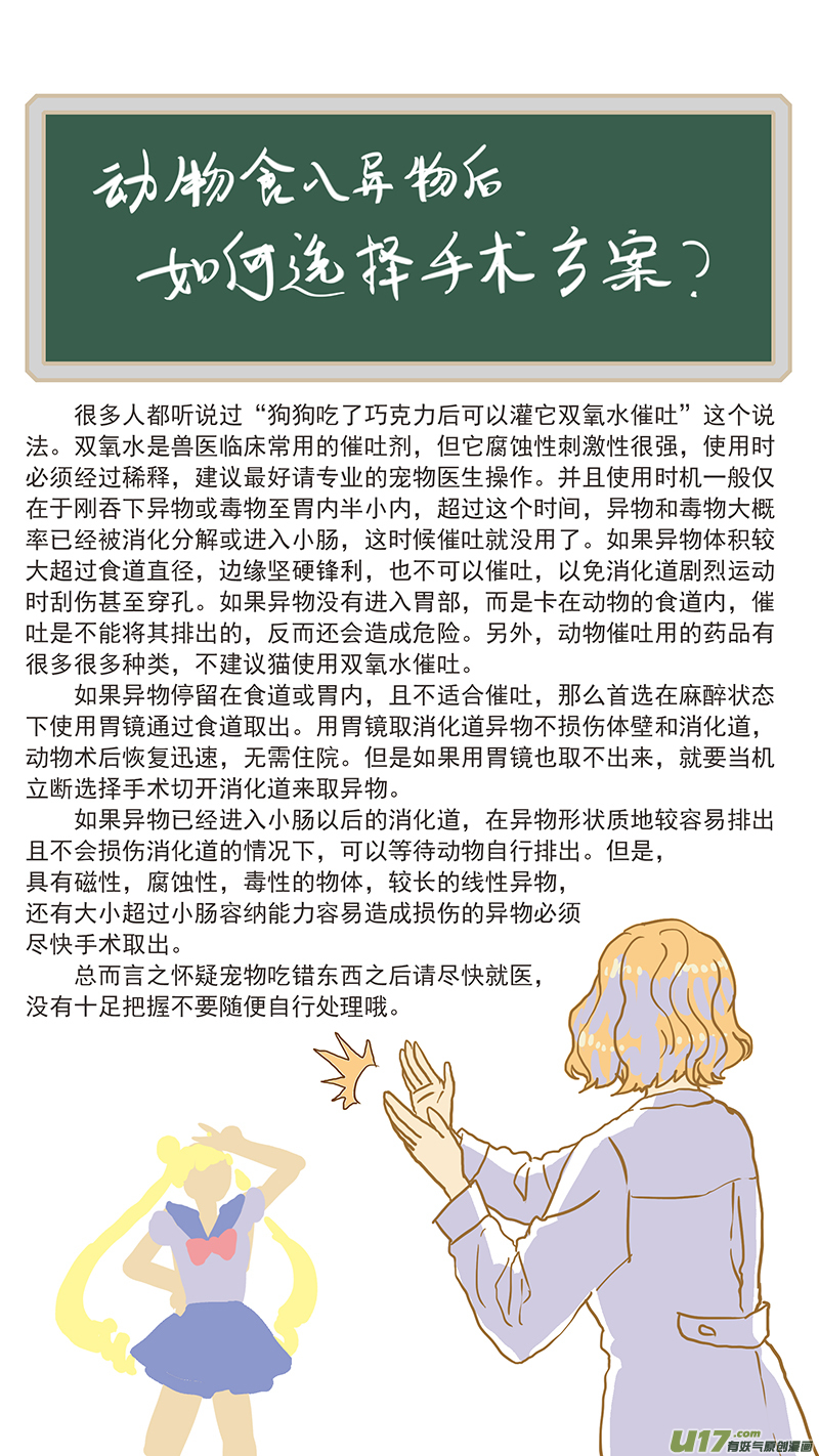 《百足宠物诊所》134 犭消化道异物手术时机和方式 第16页