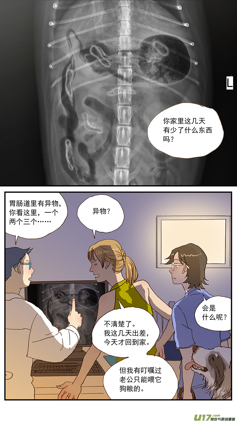 《百足宠物诊所》134 犭消化道异物手术时机和方式 第7页
