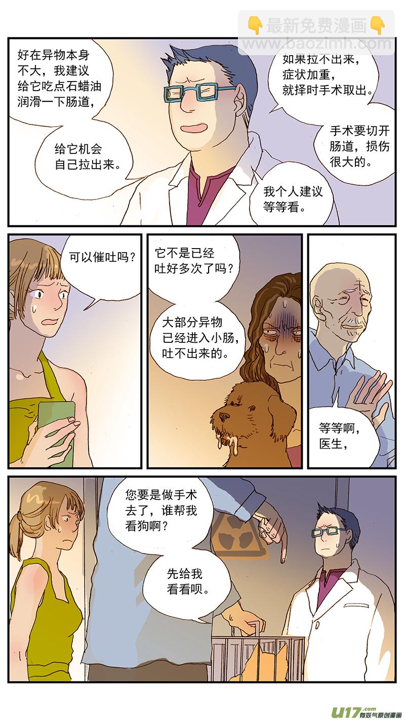 《百足宠物诊所》134 犭消化道异物手术时机和方式 第9页