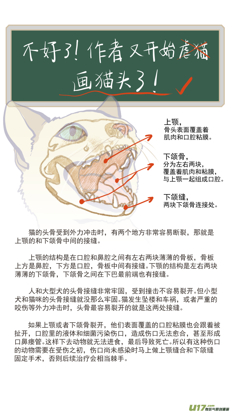 《百足宠物诊所》136 第14页