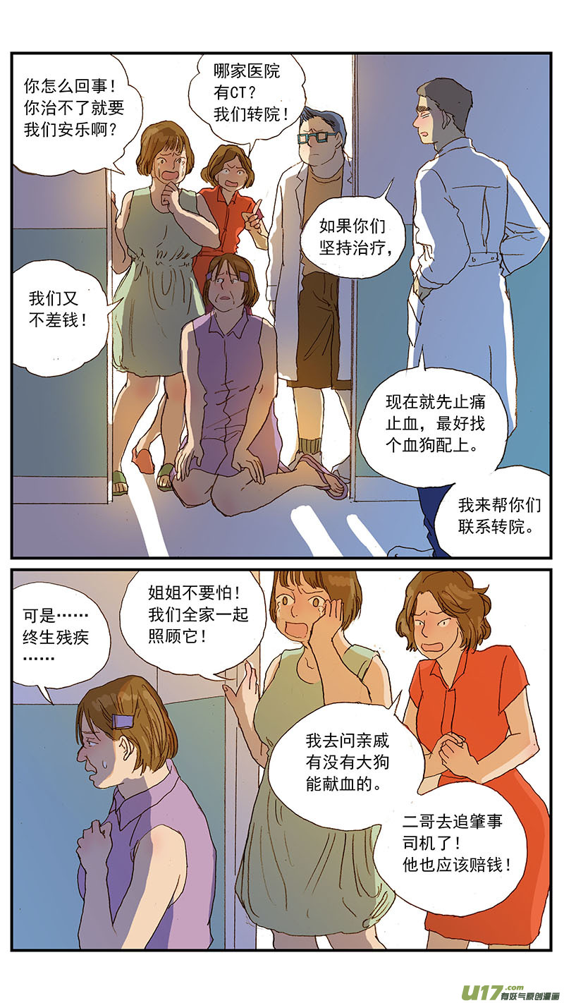 《百足宠物诊所》133 宠物医疗的定价 第11页