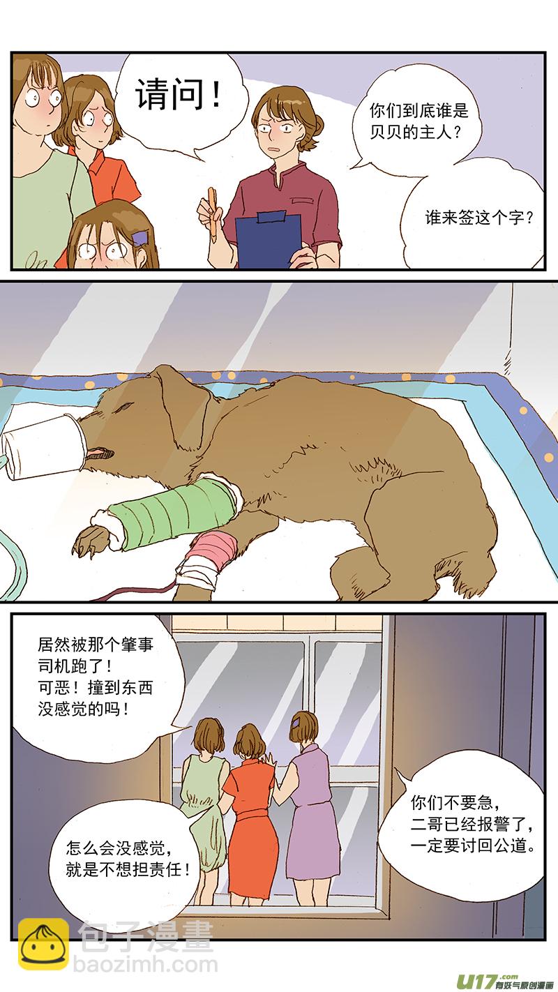 《百足宠物诊所》133 宠物医疗的定价 第12页